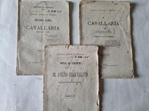 Livros e Manuscritos 