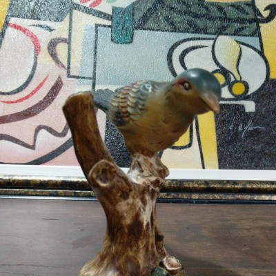 Leilão FLASH às 17h 