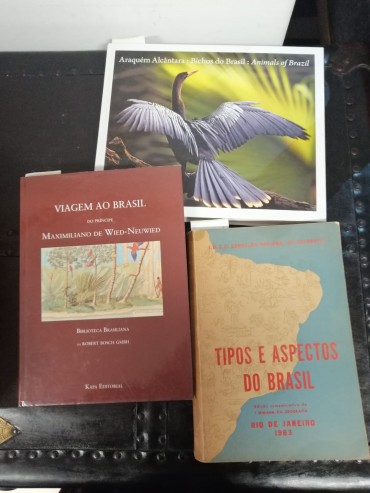 Três livros sobre o Brasil 