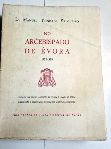 D. MANUEL TRINDADE SALGUEIRO