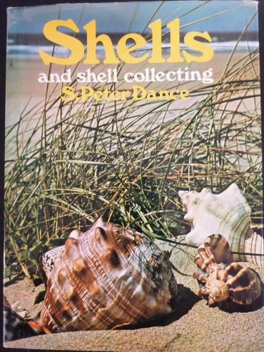 SHELLS AND SHELL COLLECTING