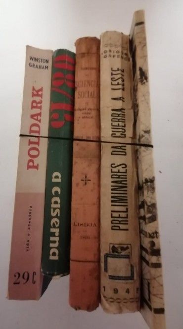 LOTE DIVERSO DE LIVROS