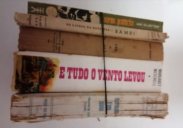 LOTE DIVERSO DE LIVROS