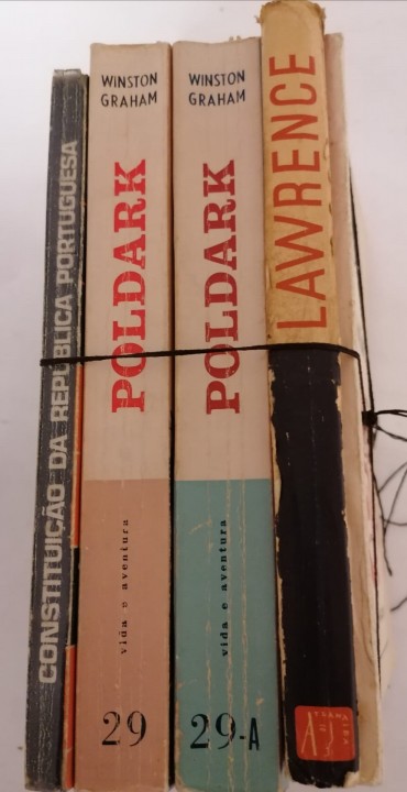 LOTE DIVERSO DE LIVROS