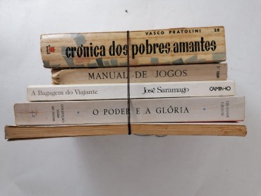 LOTE DIVERSO DE LIVROS