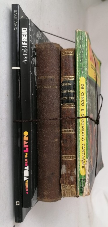 LOTE DIVERSO DE LIVROS