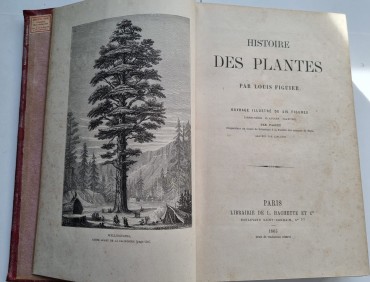 HISTOIRE DES PLANTES