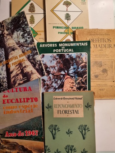 LIVROS SOBRE MADEIRA E ARVORES (EM PORTUGAL)