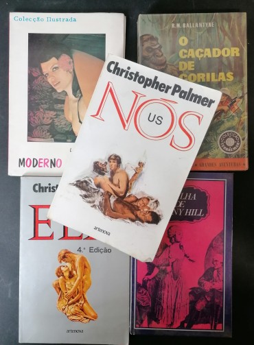 LOTE DIVERSO DE LIVROS