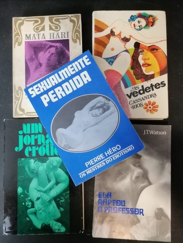 LOTE DIVERSO DE LIVROS