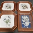 Nove quadros 