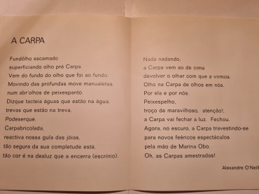 ALEXANDRE O`NEIL 
