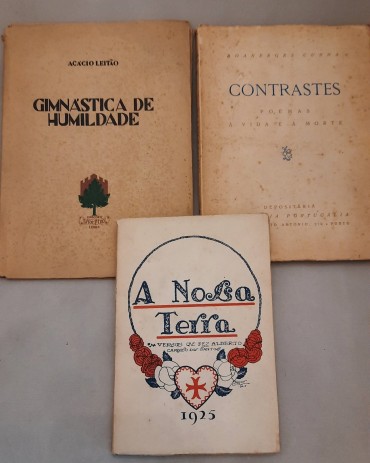 Conjunto de 3 Livros sobre Poesia	