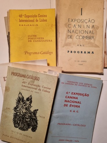 EXPOSIÇÕES CANINAS  E CHAPAS DA CML para os animais 