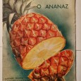 FRUTAS DE PORTUGAL O ANANAZ S. MIGUEL AÇÔRES