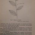 Quatro livros sobre Culuras de Café e de Chá