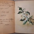 Album Manuscrito com poemas, Desenhos e Aguarelas