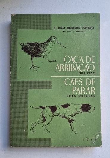 CAÇA DE ARRIBAÇÃO SUA VIDA/ CÃES DE PARAR SUAS ORIGENS