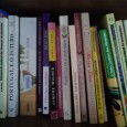 Lote de livros diversos 