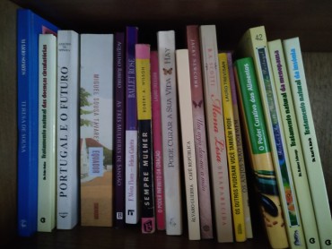 Lote de livros diversos 