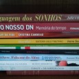 Lote de livros diversos 