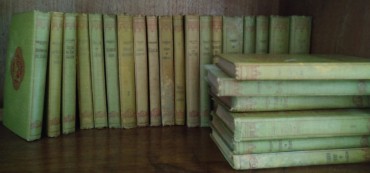 Lote de livros diversos 