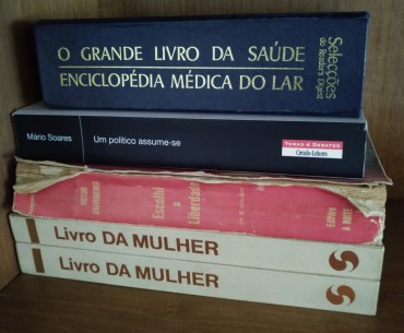 Lote de livros diversos 