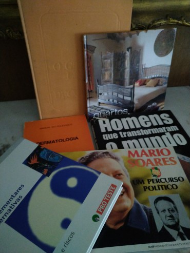 Lote de livros 