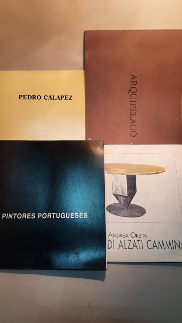 Dezasseis catálogos sobre Pintura e Escultura