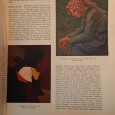 Vinte e Três Revistas “Dicionário da Pintura Portuguesa”