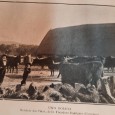 Dois livros sobre o Alentejo
