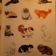 Dois Livros sobre Gatos