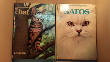 Dois Livros sobre Gatos