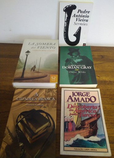 LOTE DIVERSO DE LIVROS