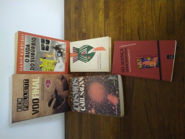 LOTE DIVERSO DE LIVROS