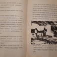 Livro e publicação sobre Angola