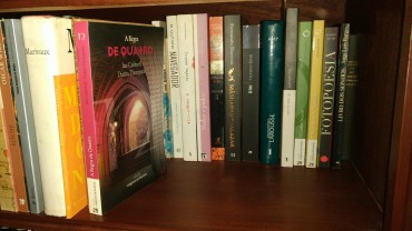 Lote de livros diverso