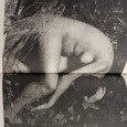 «The history of the nude in photography»