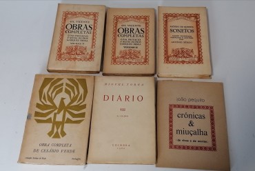 LOTE DIVERSO DE LIVROS