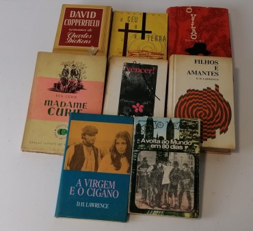 LOTE DIVERSO DE LIVROS