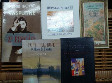 LOTE DIVERSO DE LIVROS