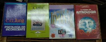 LOTE DIVERSO DE LIVROS