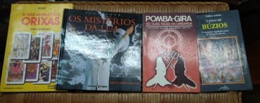 LOTE DIVERSO DE LIVROS