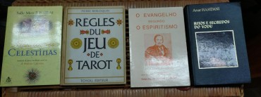 LOTE DIVERSO DE LIVROS