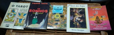 LOTE DIVERSO DE LIVROS