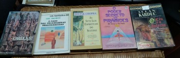 LOTE DIVERSO DE LIVROS