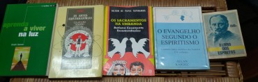 LOTE DIVERSO DE LIVROS