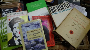 LOTE DIVERSO DE LIVROS