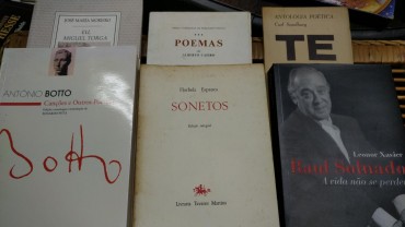 LOTE DIVERSO DE LIVROS