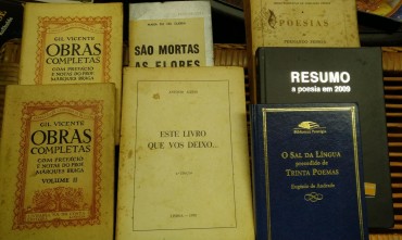 LOTE DIVERSO DE LIVROS